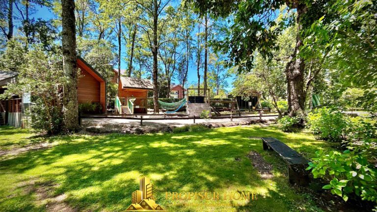 Bosque nativo del condominio en Pucón