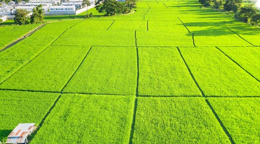 Parcela disponible para venta en Angol Chile