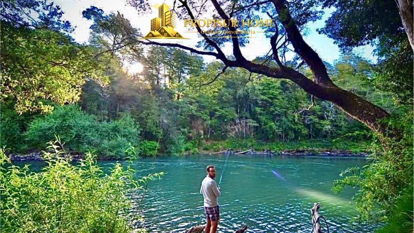 Bosque nativo que rodea complejo turístico en venta en Pucón